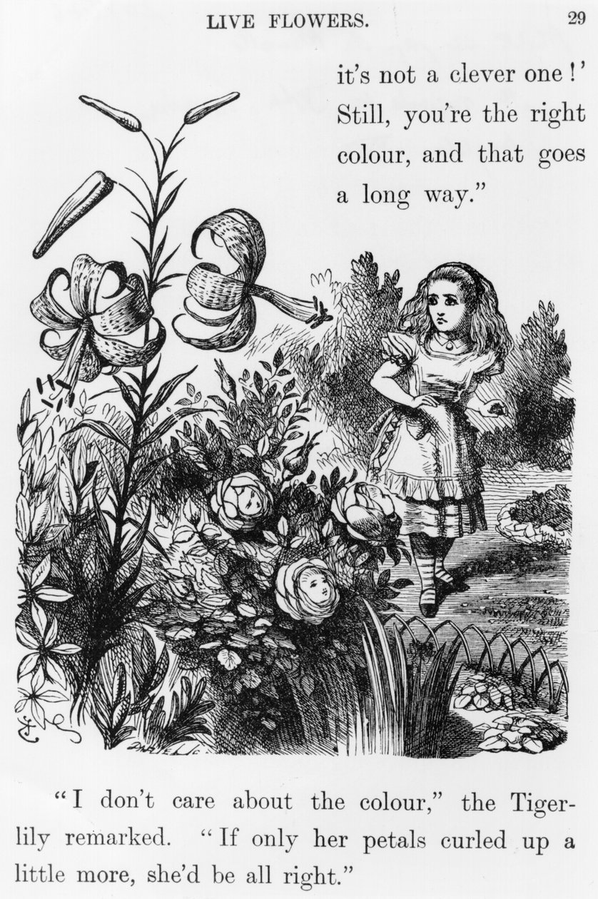 Tiger Lily, från "Through the Looking Glass" av Lewis Carroll (1832-98) av John Tenniel