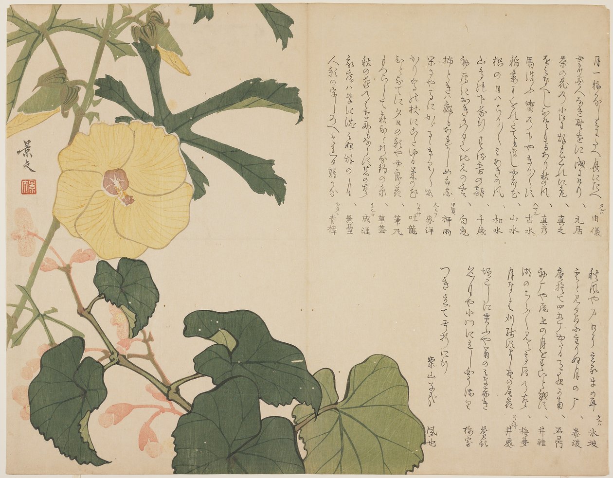 (Gul blommande buske), ca. 1818-1829 av John Thomas Barber Beaumont