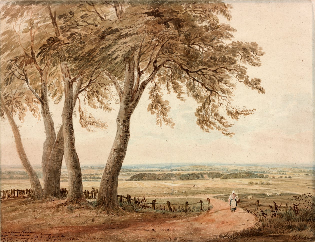 Utsikt från Polesden, Surrey, 1800 av John Varley