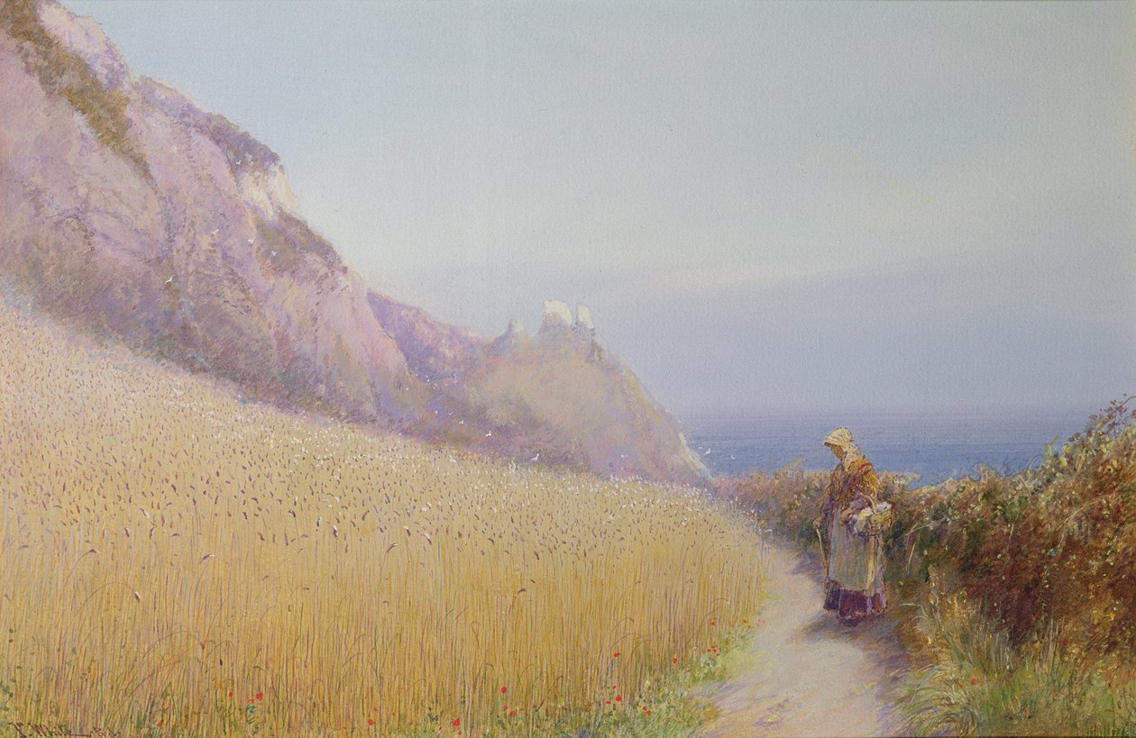 Ett majsfält nära Sidmouth, Devon av John White