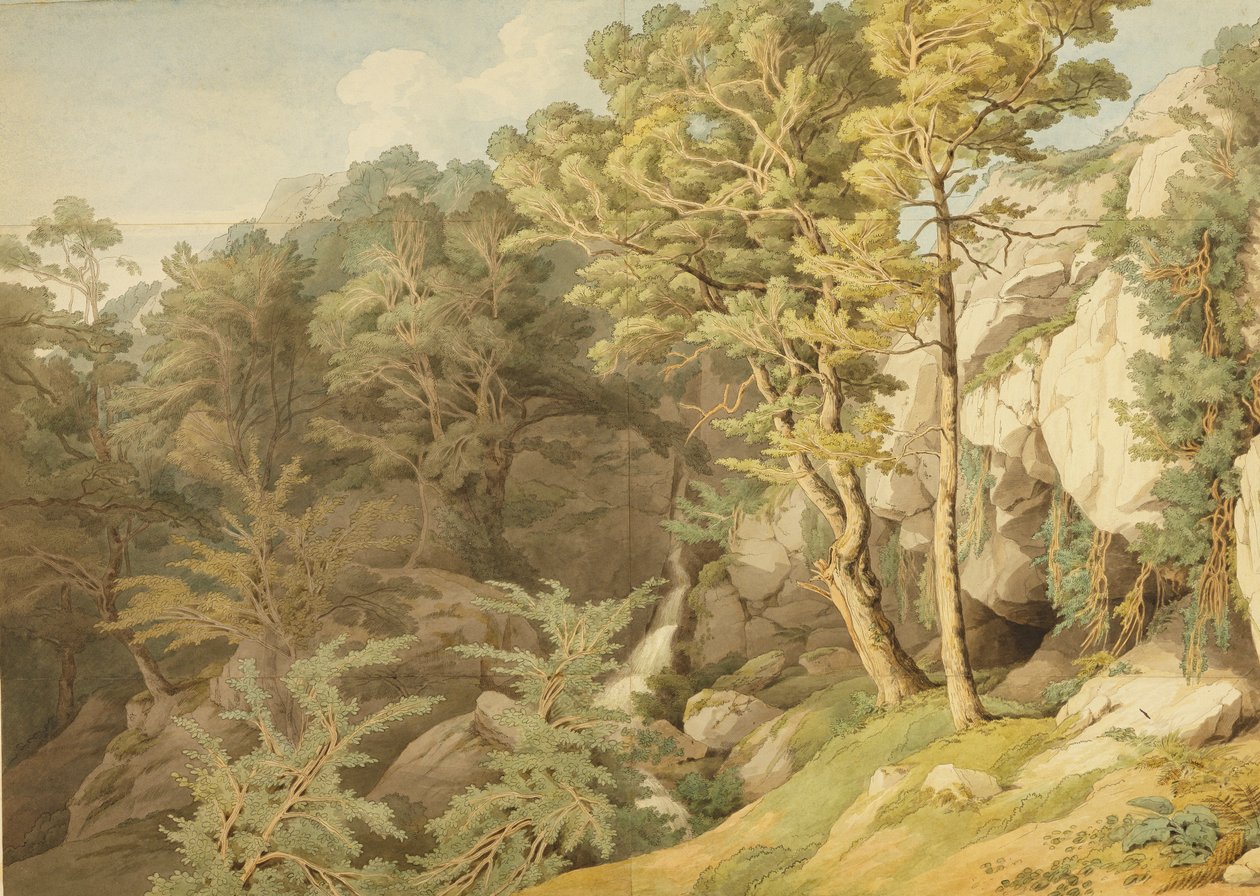 Canonteign, Devon, 1804 (penna och bläck och wc på papper) av John White Abbott