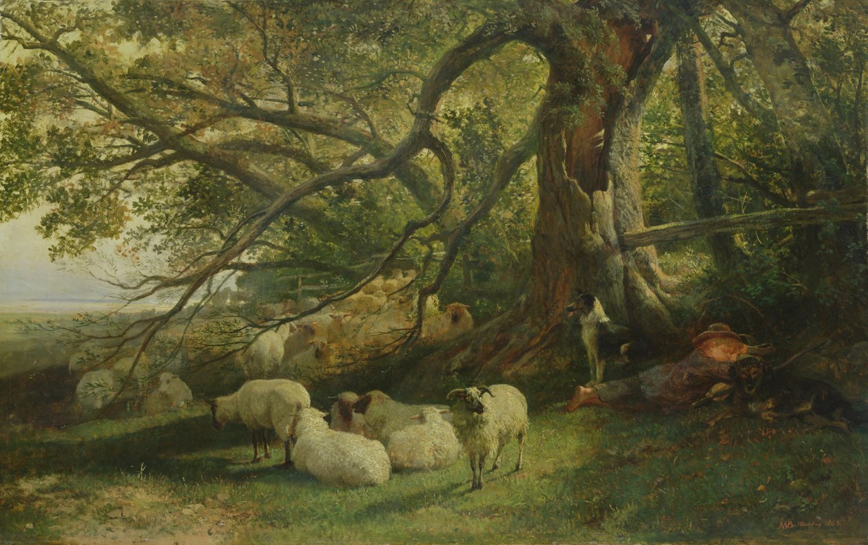 Hvilande flock, 1863 av John William Bottomley