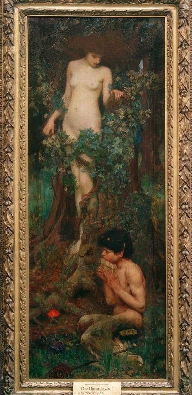 En Hamadryad av John William Waterhouse
