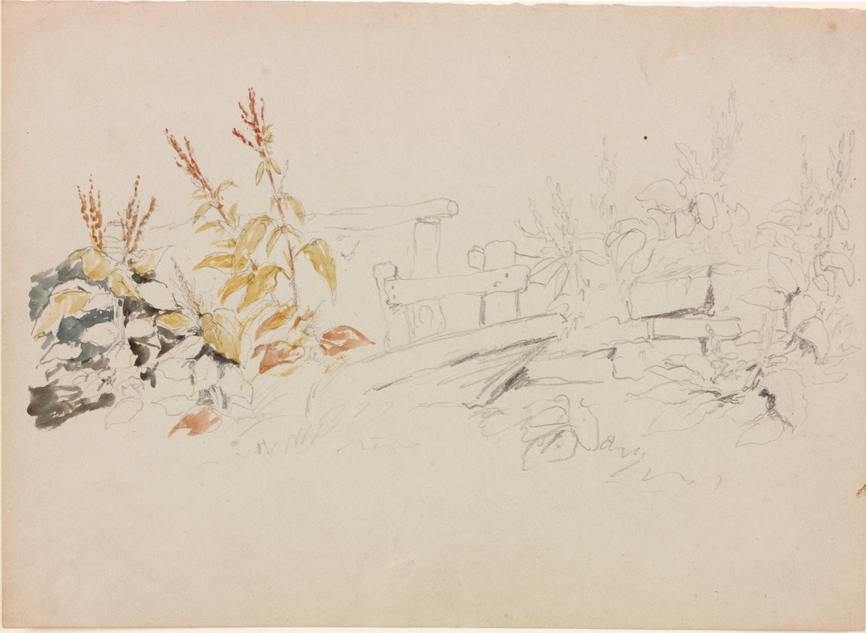 Naturstudie (penna och akvarell på papper (grå)) av John Wilson Carmichael