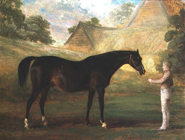 Foxglove, en Bay fullblod av John (attr. to) Boultbee