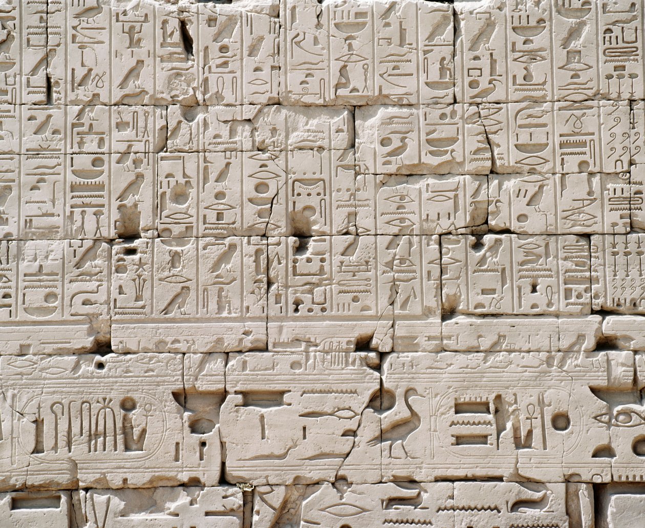 Egypten, Luxor guvernement, Karnak, Amons stora tempel, Stora hypotekshallen, detalj av yttervägg av Walter Charles Mills