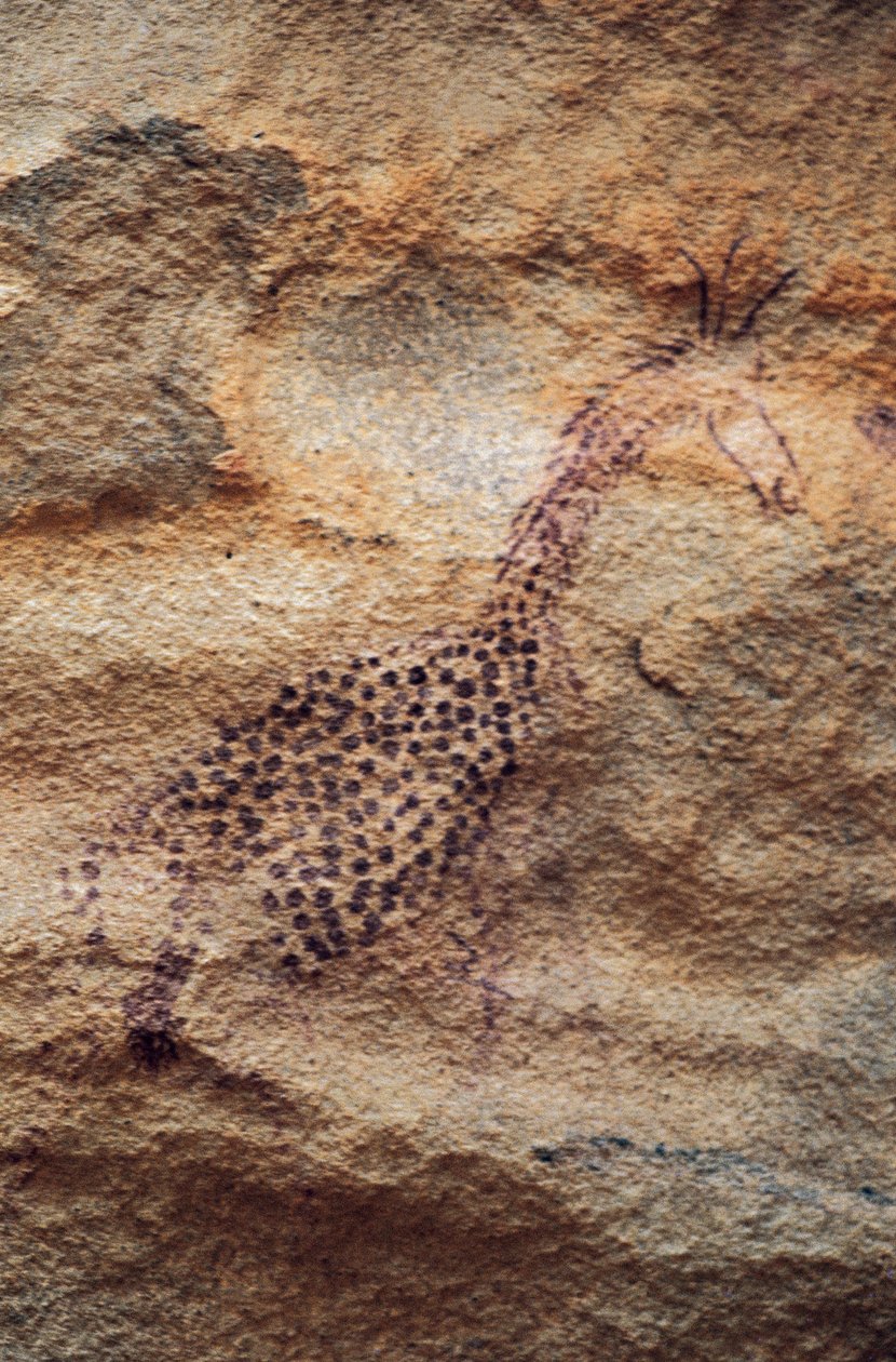 Giraff, grottmålning, Pastoralperiod (4000-2500 f.Kr.), Tassili n