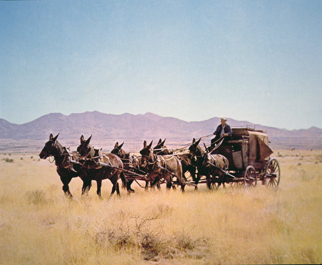 Western Stagecoach dras av ett lag med sex mulor (foto) av Walter Charles Mills