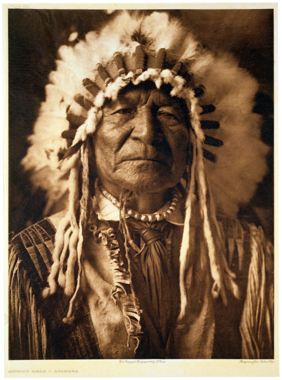 "Sittande björn - Arikara", 1908 av John Andrew and Son