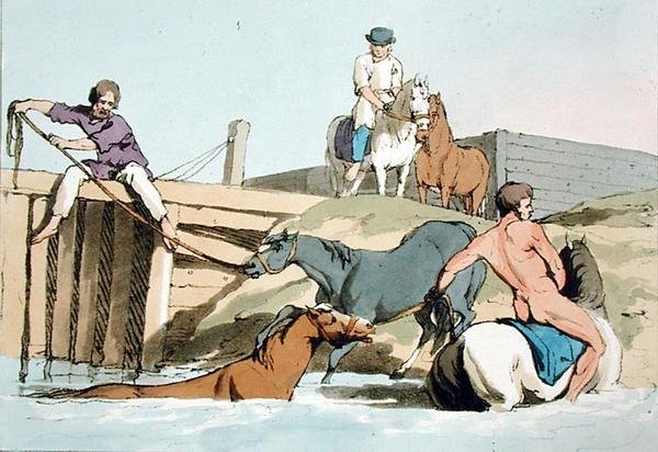 Badande hästar, etsad av konstnären, publicerad 1803 (färglitografi) av John Augustus Atkinson