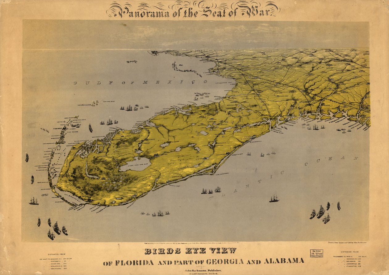 Fågelperspektiv över Florida och delar av Georgia och Alabama LOC 99447266 av John Bachmann