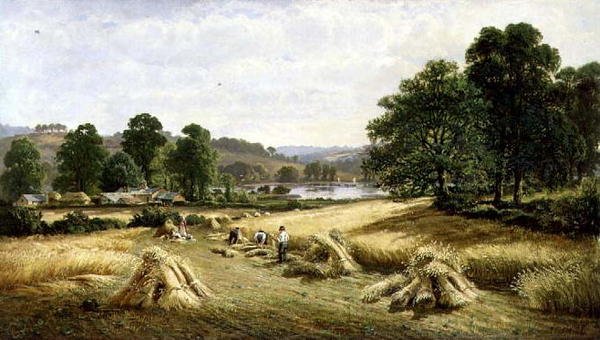 Samla guldkornet nära Bishopsteignton, Plymouth av John Barrett