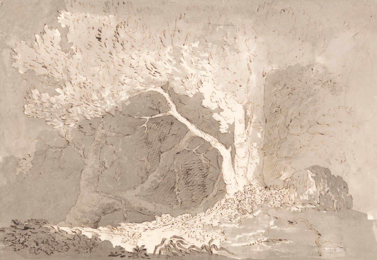 Trädstudie av John Baverstock Knight