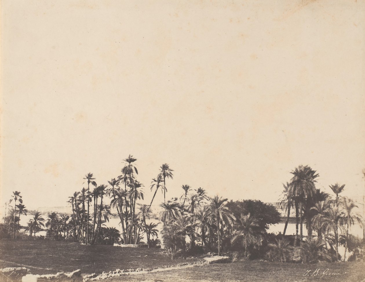Studie av palmer, Nilens stränder, Kalabschi, 1853-54. av John Beasley Greene