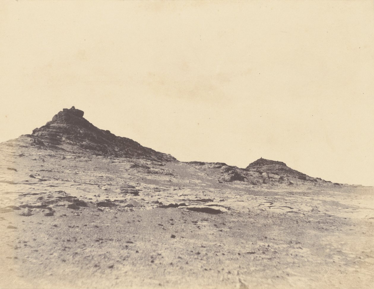 [Fältstudier nära Gebel Abousir, andra grå starr]. av John Beasley Greene