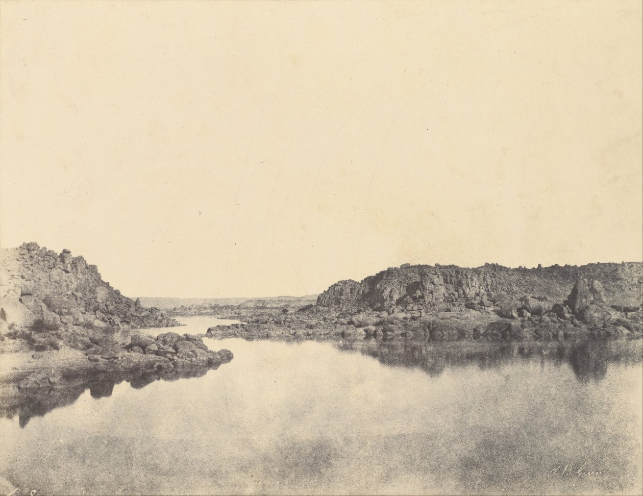 Första grå starren tagen från Philae av John Beasly Greene