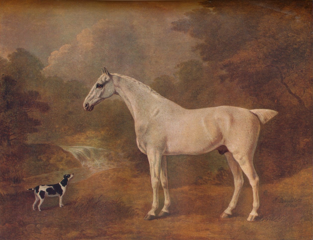 En loppbiten grå och en fläckig terrier, 1803. av John Boultbee