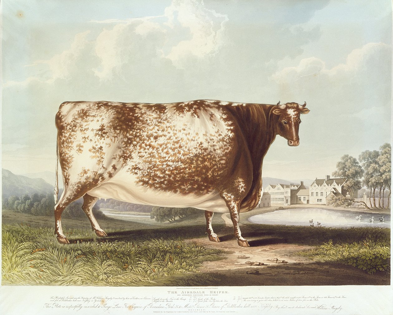 Airedale-kvinna, graverad av R. Reeve, 1820 (färggravyr) av John Bradley