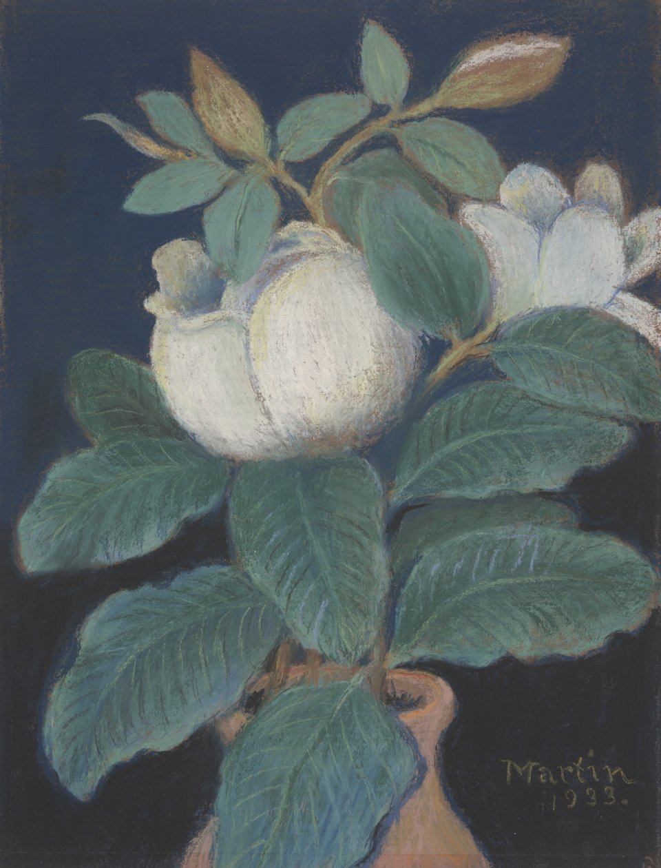 Magnolia Blossoms, 1933 av John Breckinridge Martin