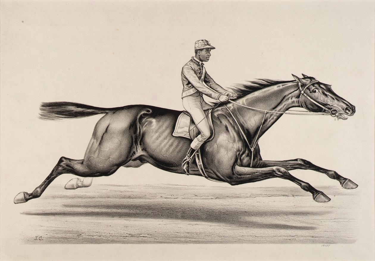Kejsaren av Norfolk av John Cameron