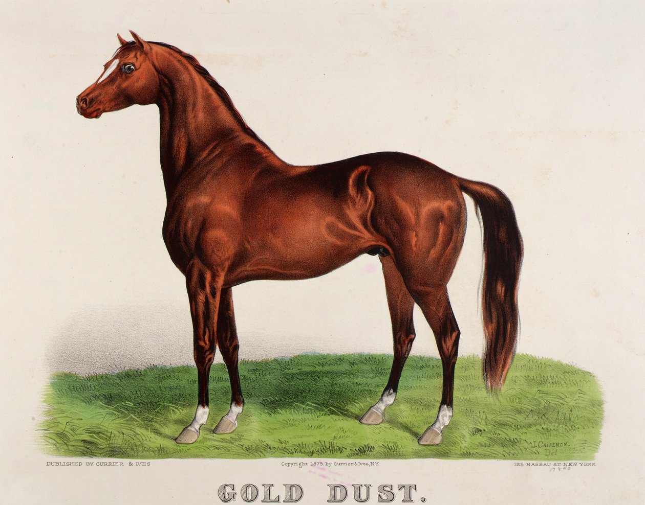 Gulddamm av John Cameron