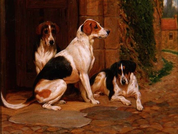 Foxhounds av John Charlton