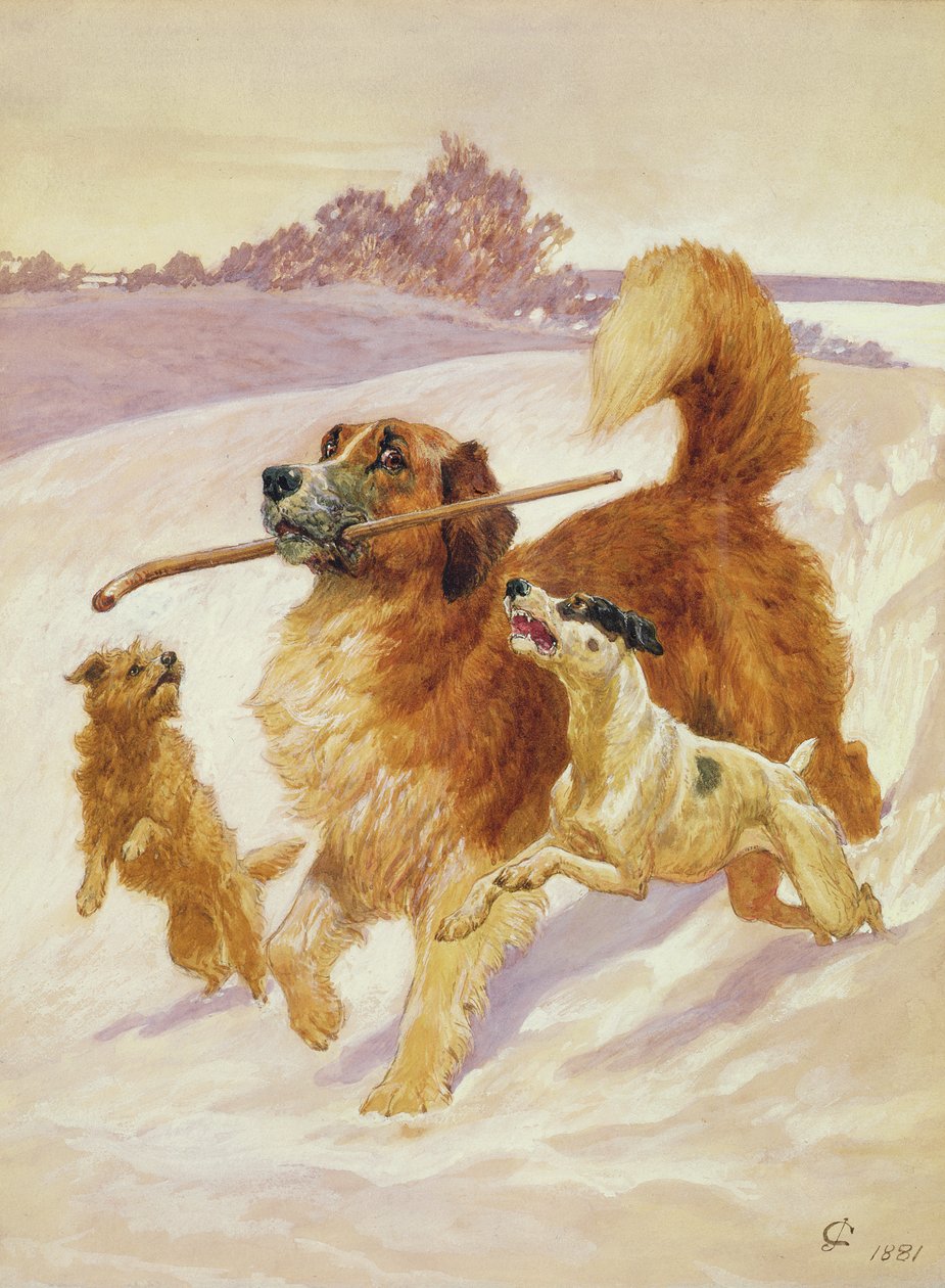 Tre hundar som leker i snön, 1881 av John Charlton