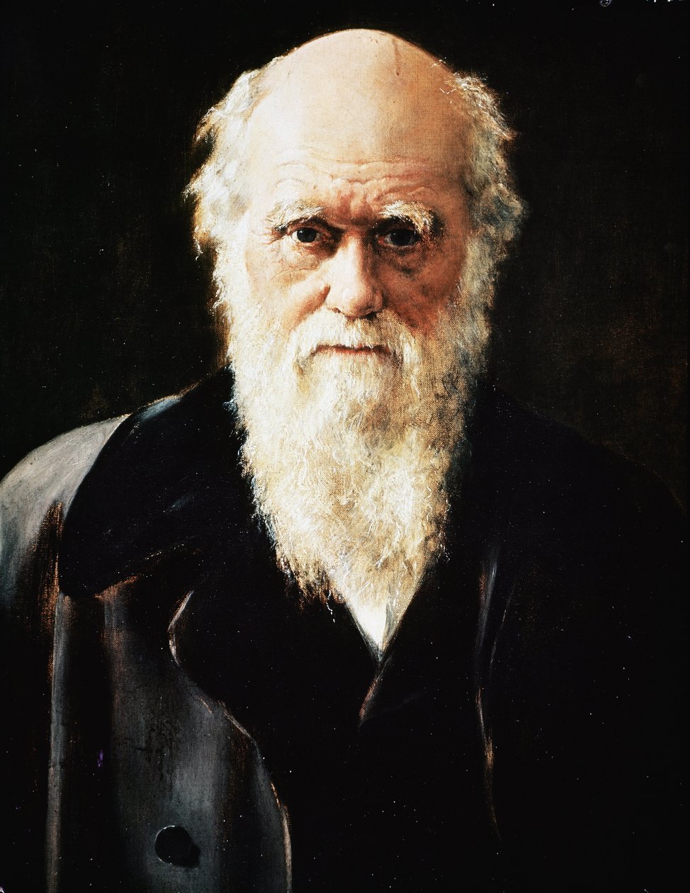 Porträtt av den engelske naturforskaren Charles Darwin, detalj (olja på duk av John Collier