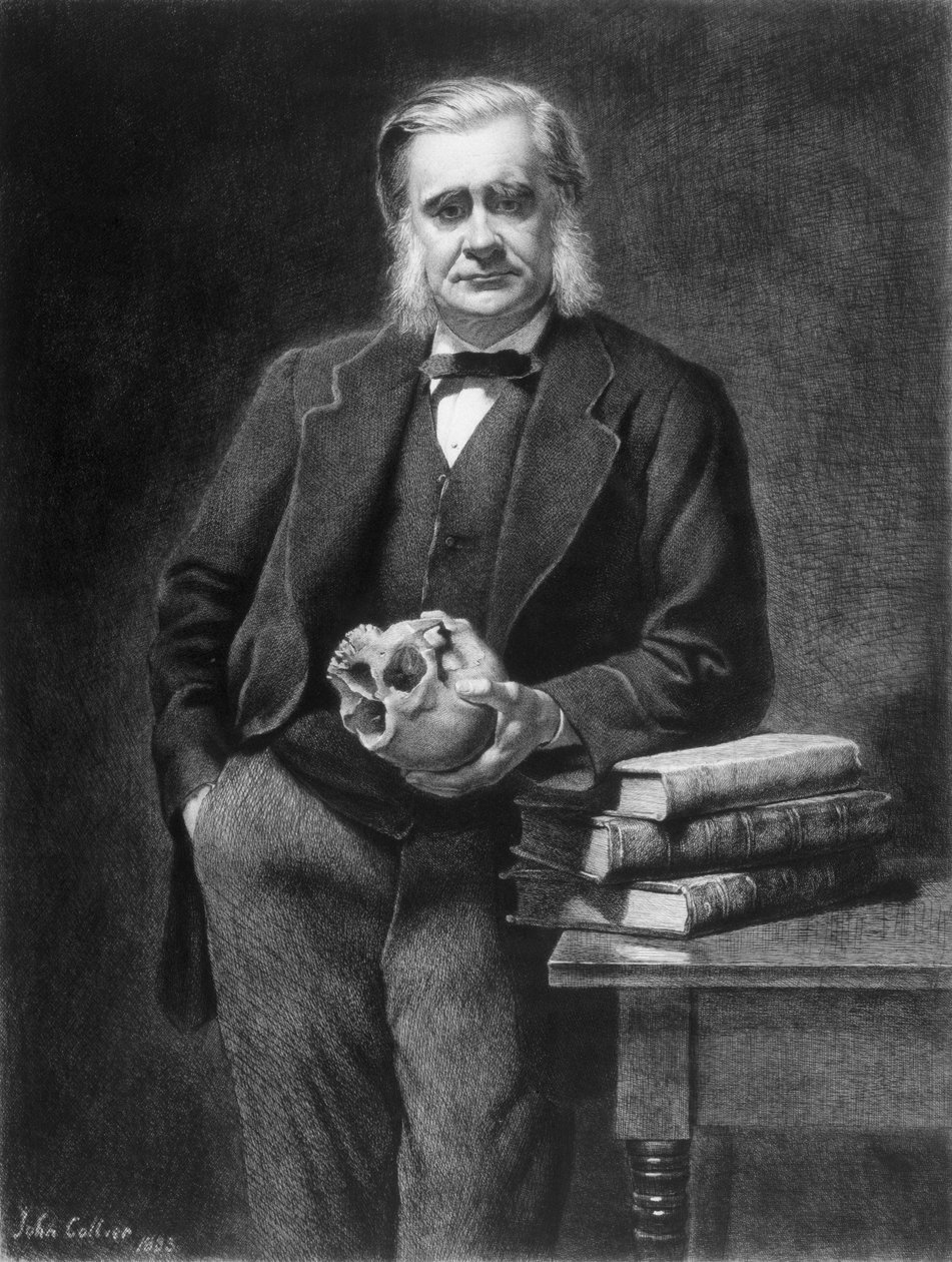 Thomas Henry Huxley (1825-95) etsat av Leopold Flameng (1831-1911) 1885 av John Collier