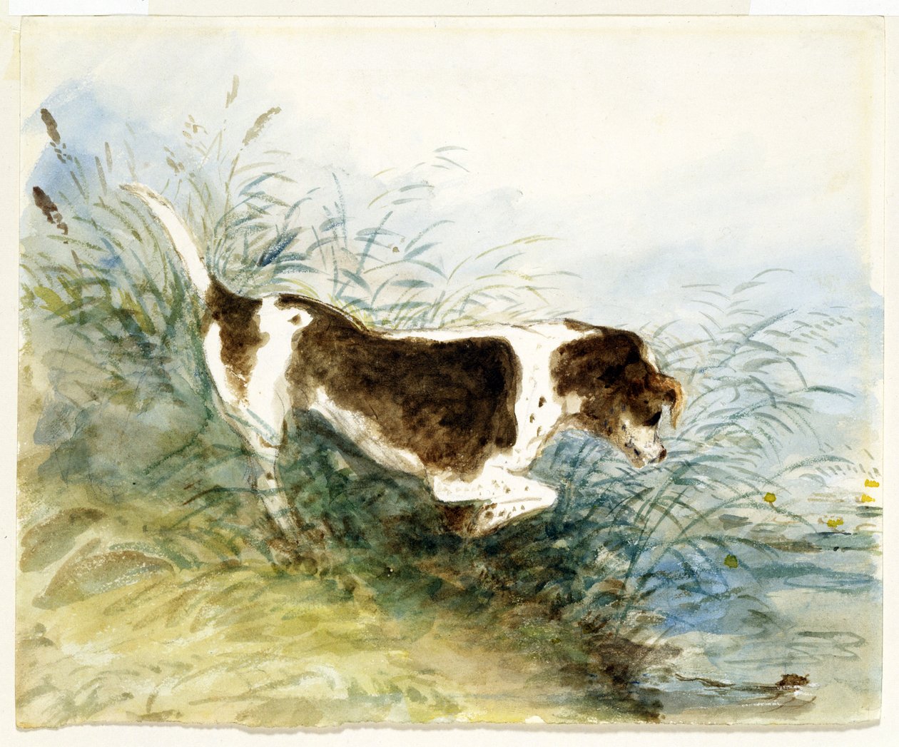 En hund som tittar på en råtta i vattnet - Dedham, målad 1831 av John Constable