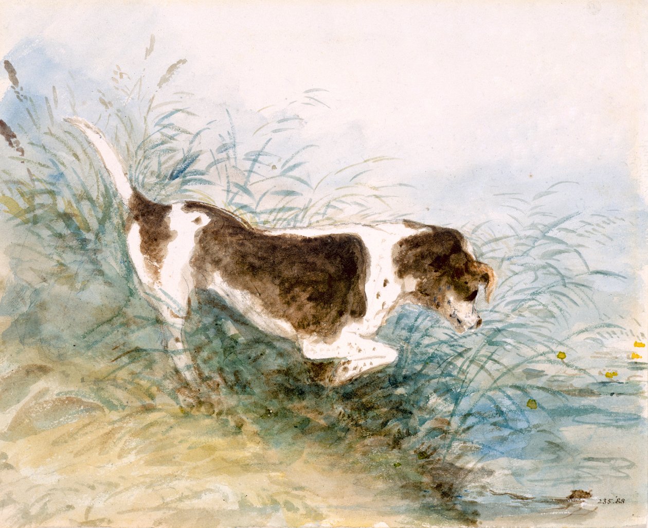 "En hund som tittar på en råtta i vattnet", 1831 av John Constable