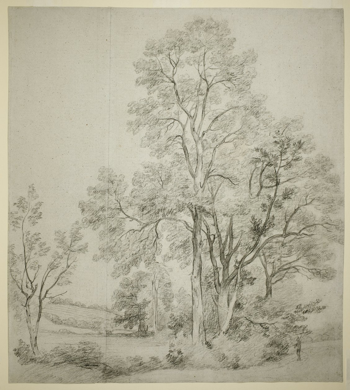 Ett bestånd av almträd (recto); En studie av östra Bergholt med kyrkan (verso) av John Constable