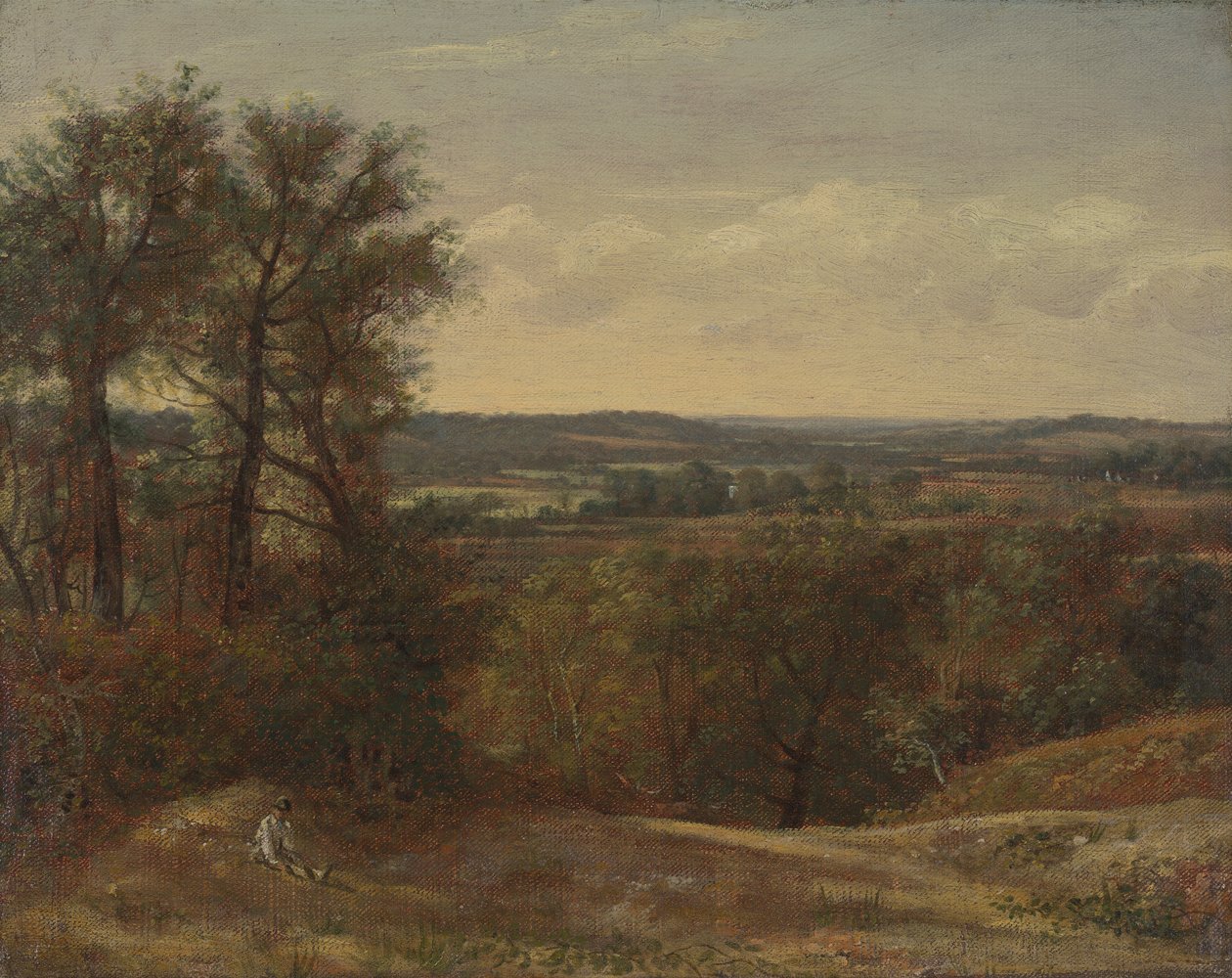 Dadham Wale av John Constable