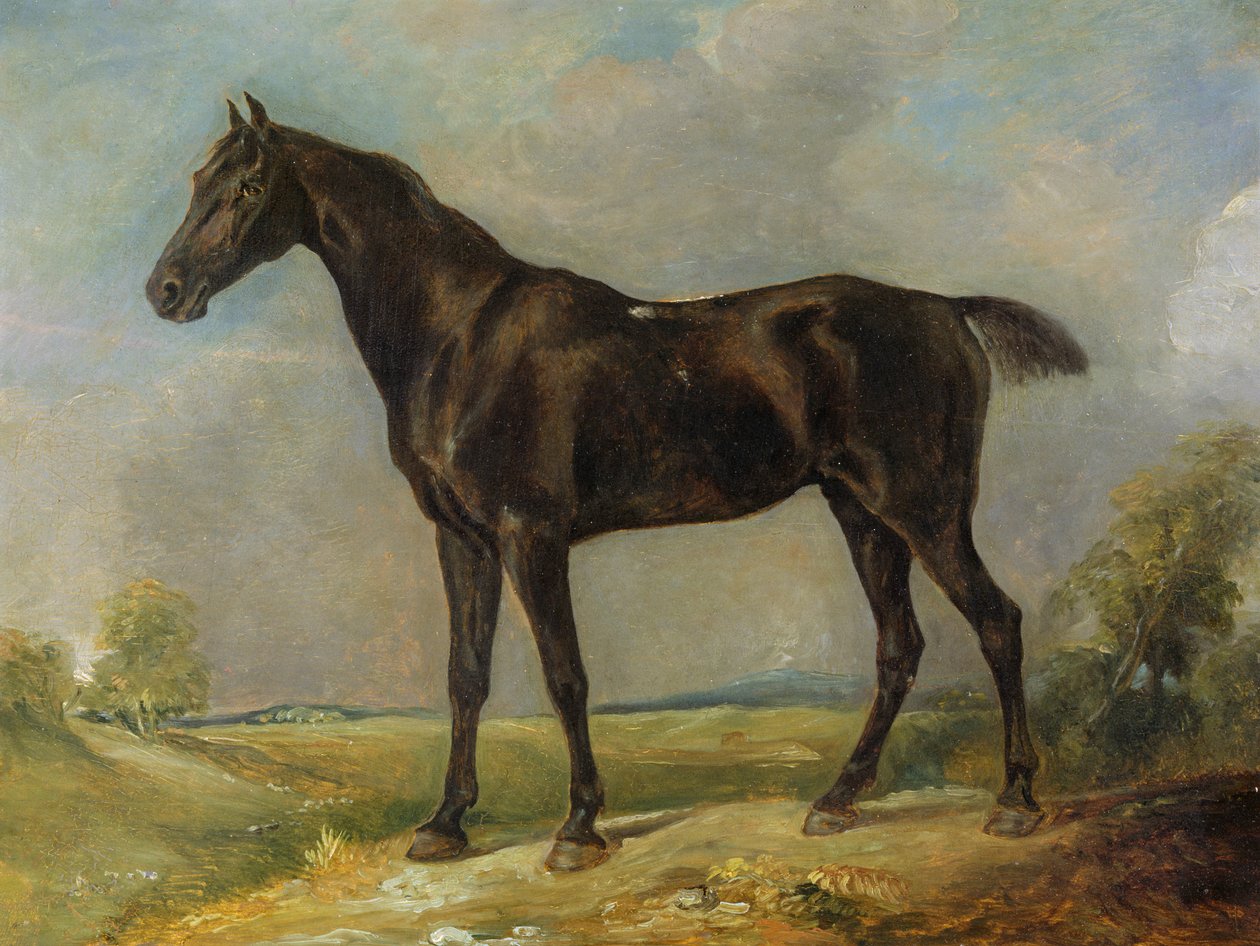 Golding Constables svarta ridhäst, c.1805-10 av John Constable