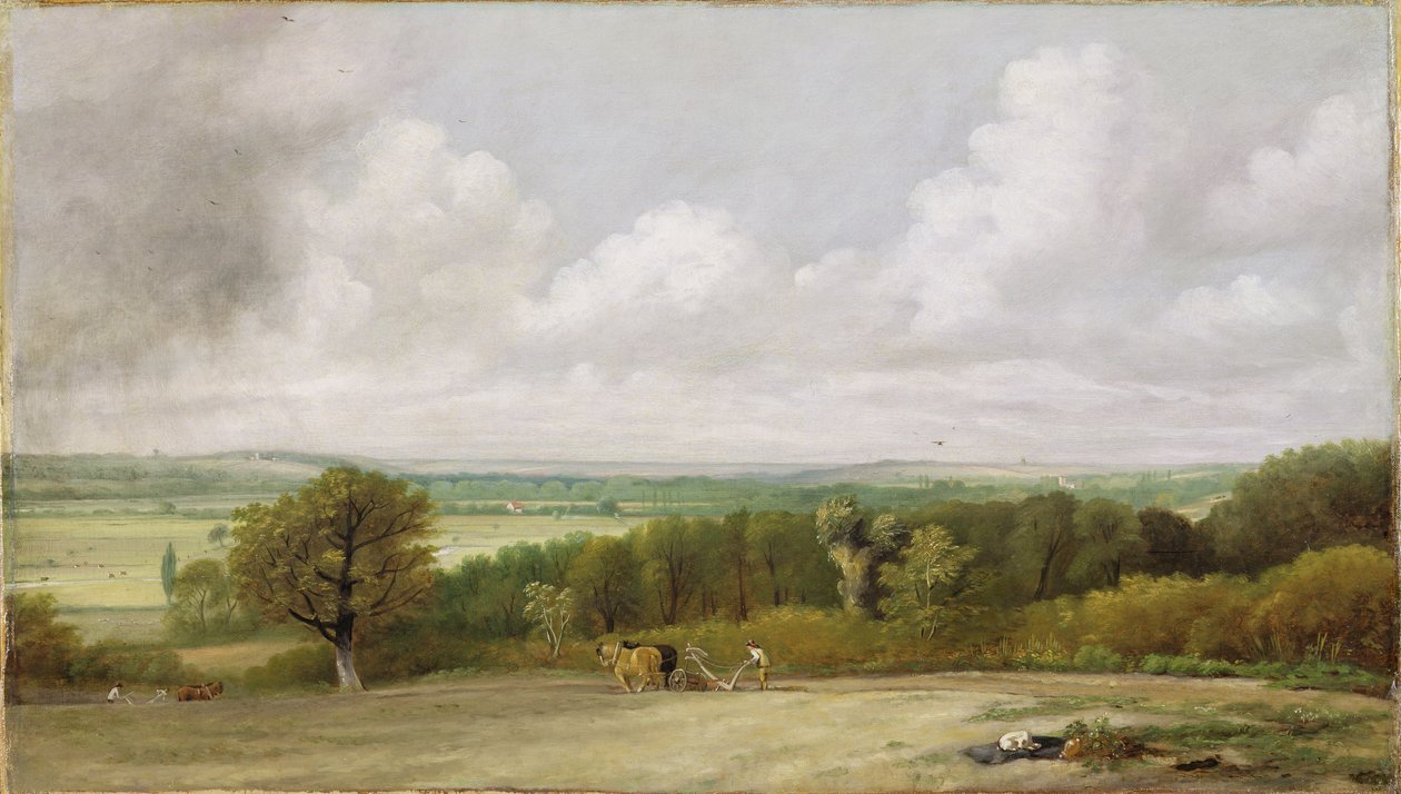 Landskap: Plöjningsscen i Suffolk (A Summerland) c.1824 (olja på duk) av John Constable