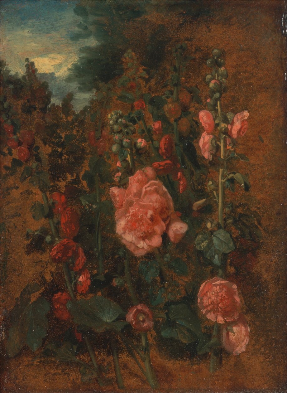 Studie av stockrosor av John Constable