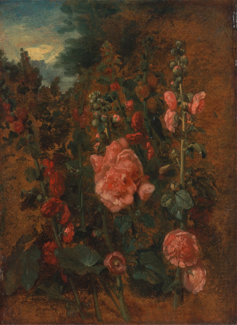 Studie av stockrosor, ca. 1826. av John Constable