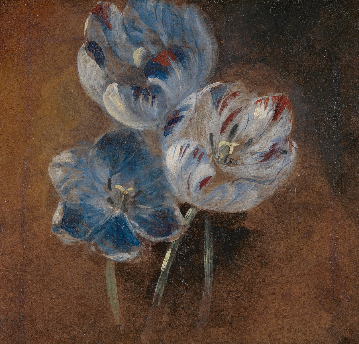 Studie av tre papegojtulpaner av John Constable