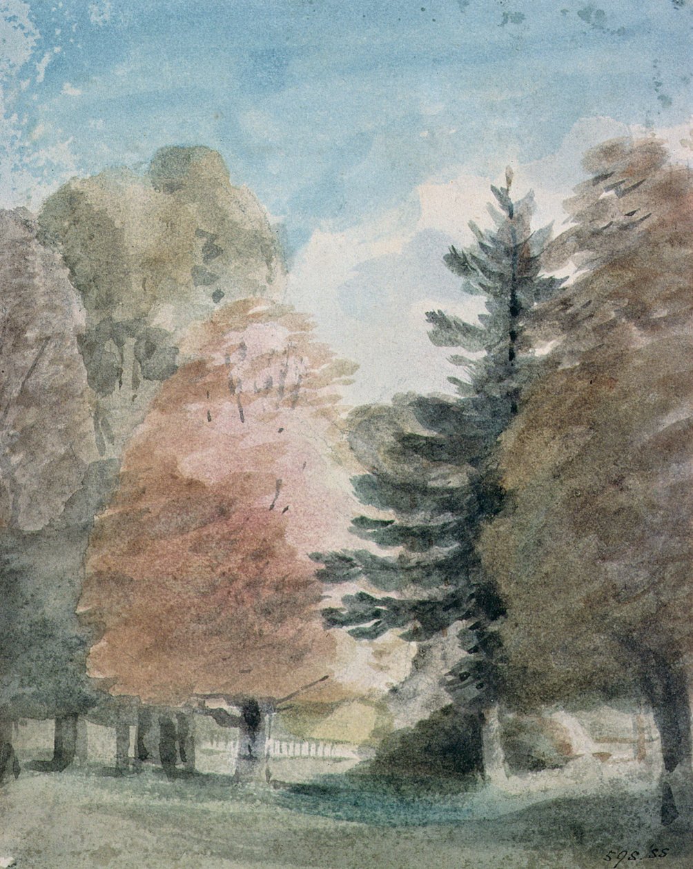 Studie av träd i en park (akvarell) av John Constable