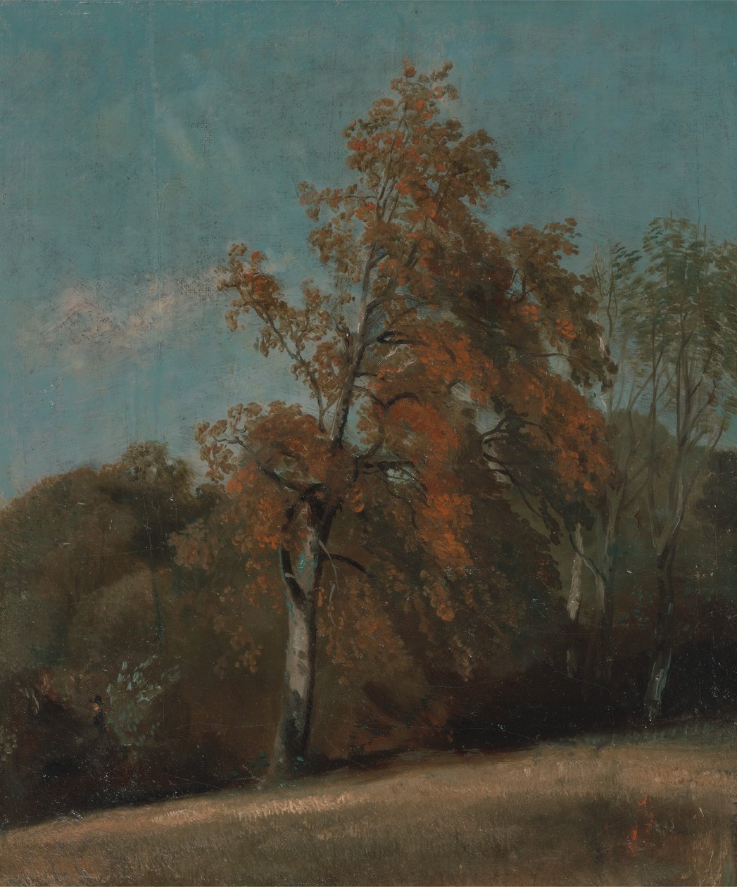Studie av ett askträd, mellan 1801 och 1803 eller mellan 1810 och 1830. av John Constable