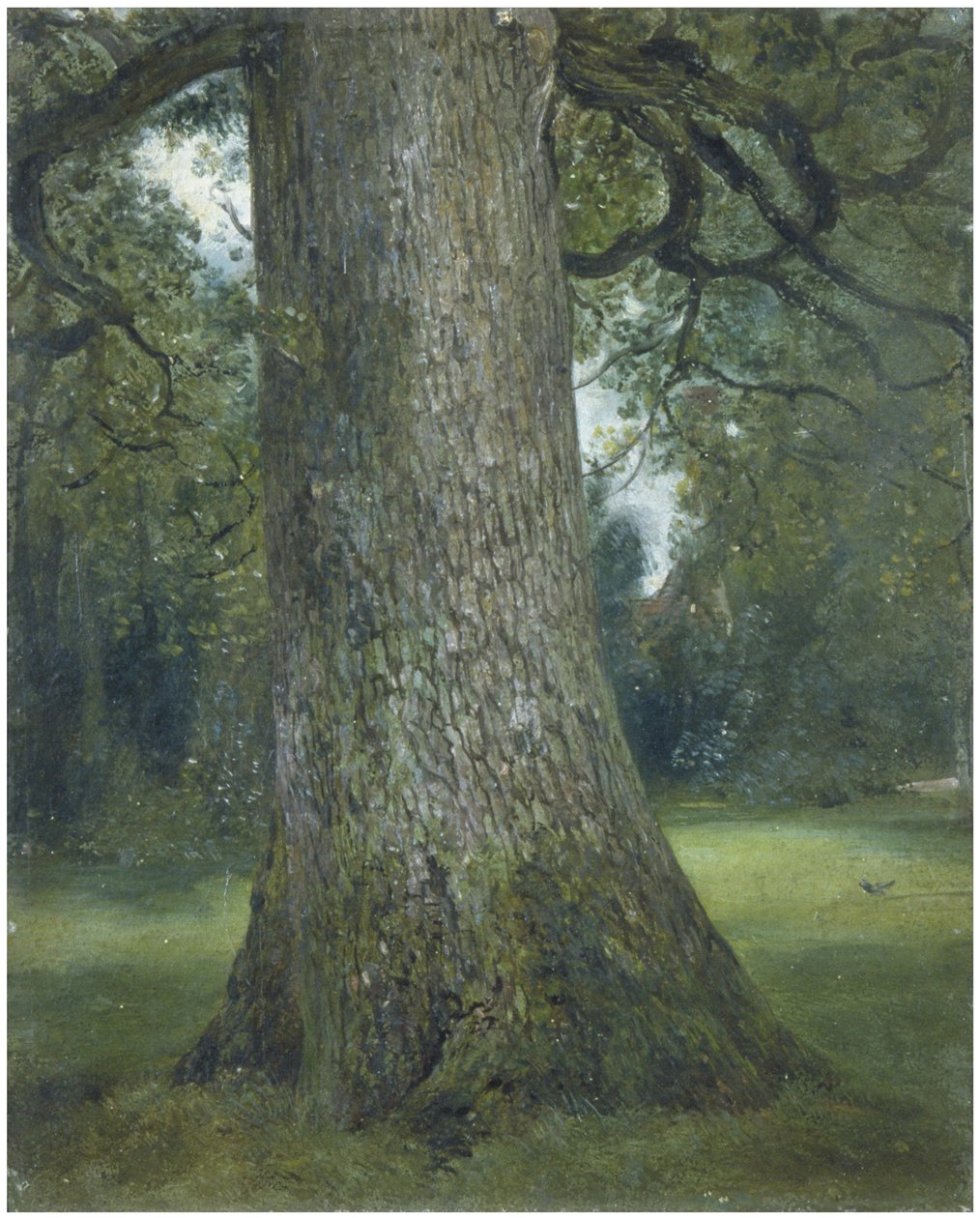 Studie av stammen på ett almträd, ca. 1824 av John Constable