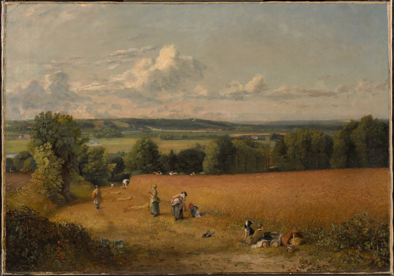 Vetefältet av John Constable