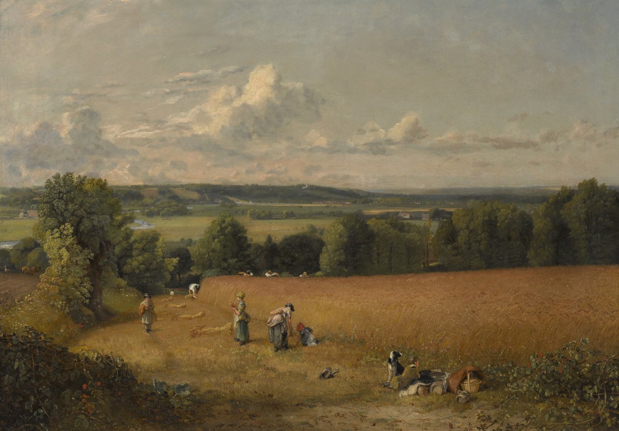 Vetefältet av John Constable