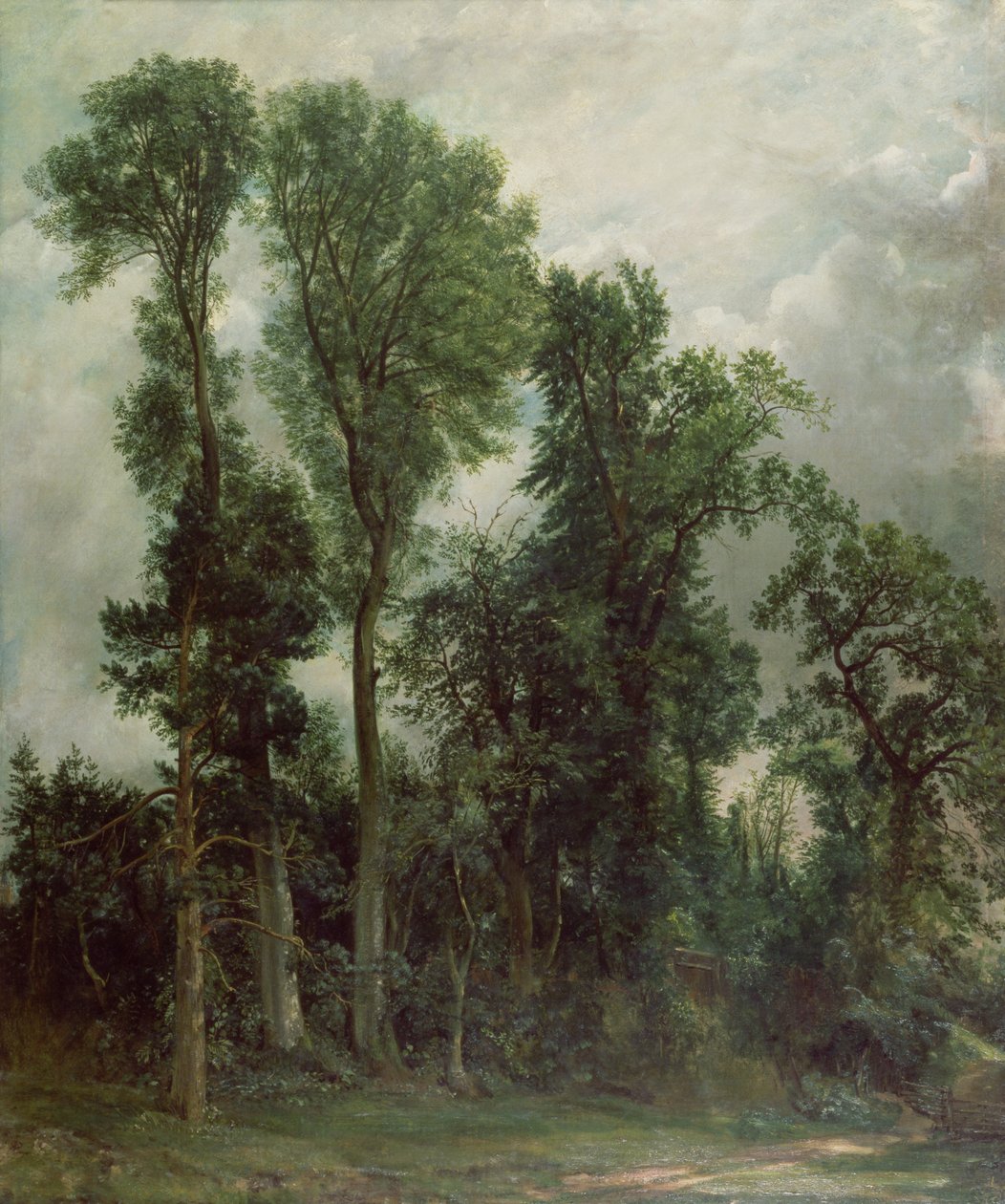 Träd i Hampstead av John Constable