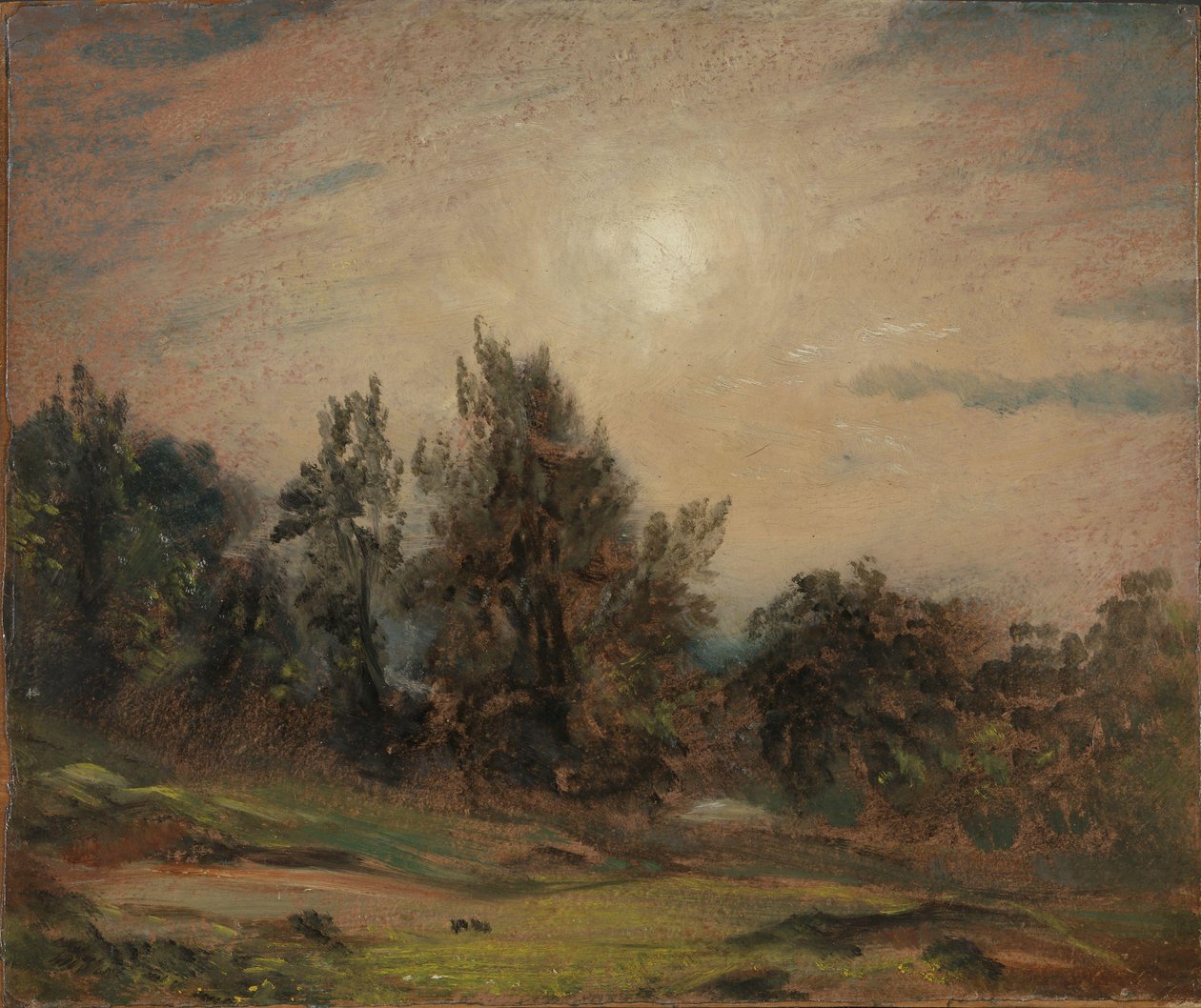 Träd på Hampstead Heath av John Constable