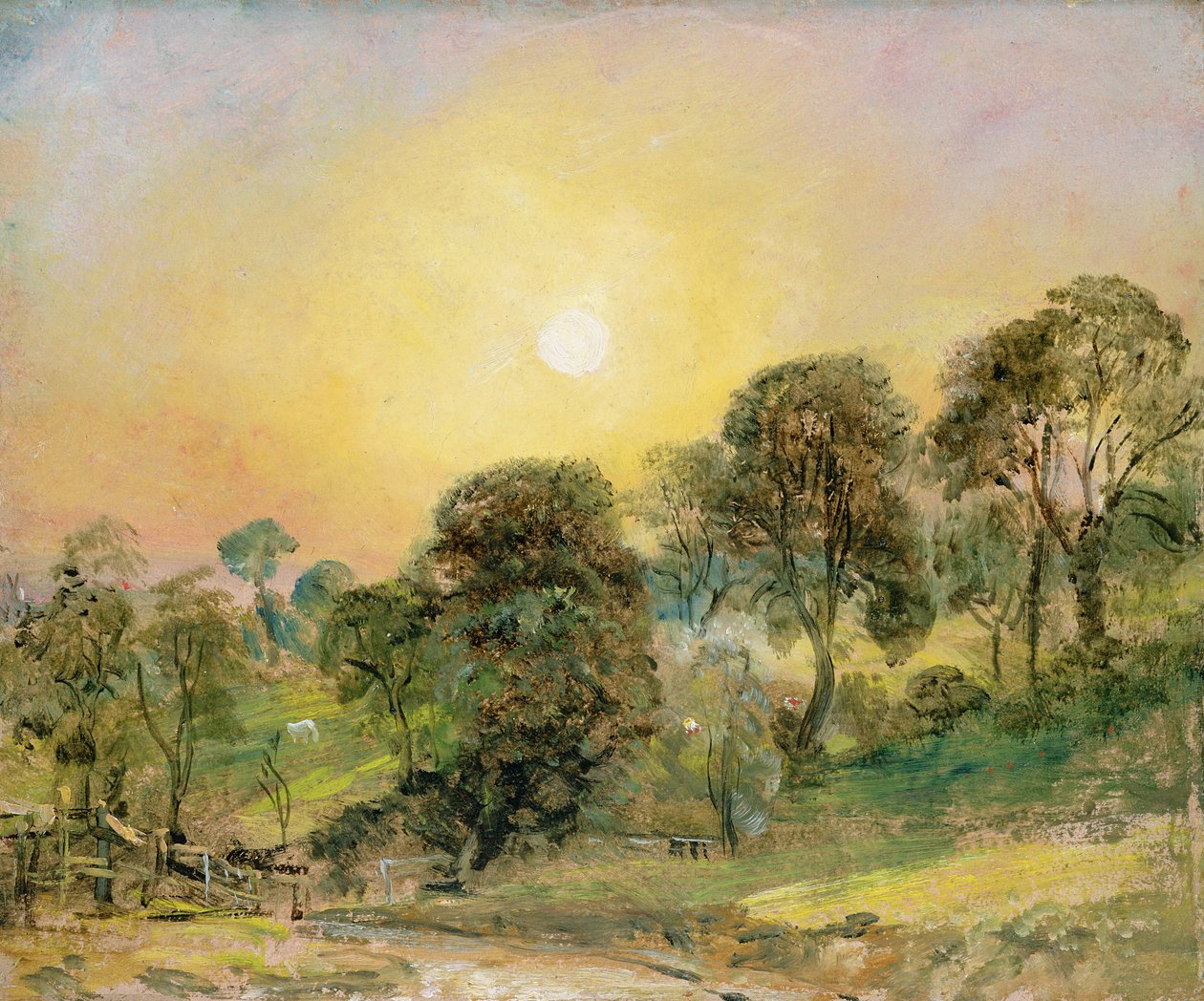 Träd på Hampstead Heath vid solnedgången (olja på papper) av John Constable