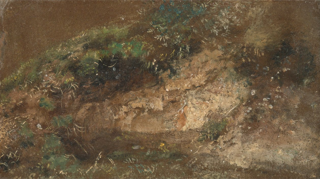 Undervegetation av John Constable