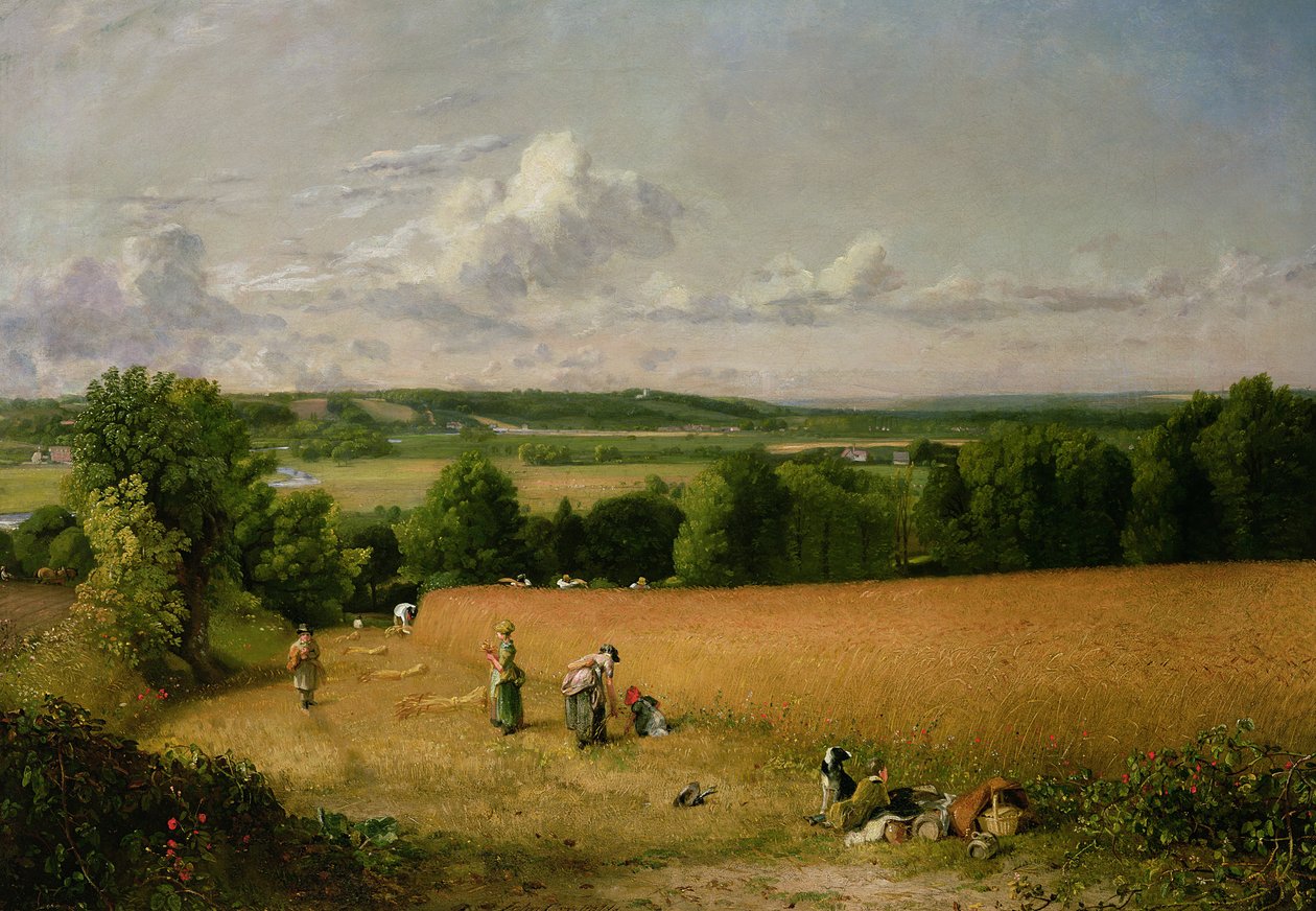 Vete fält av John Constable
