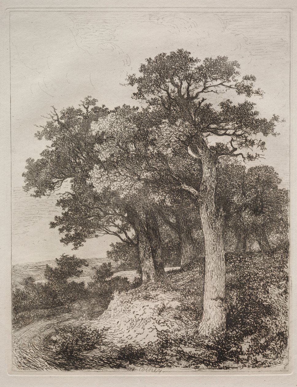 På Colney. av John Crome