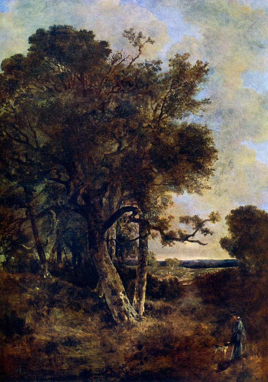 Om skogens kjolar, c1788-1821, 1912. av John Crome